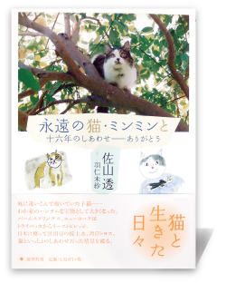 永遠の猫・ミンミンと―十六年のしあわせ―ありがとう